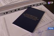 Многодетные родители Пермского края требуют вернуть им ежемесячные пособия